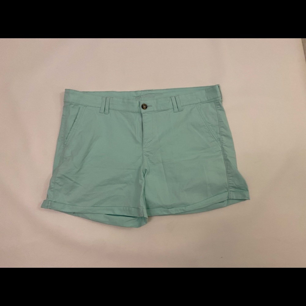 Plus Size Mint Shorts